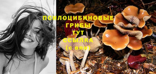 MDMA Premium VHQ Красноперекопск
