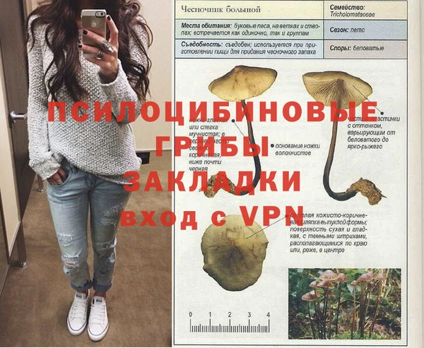 ГАЛЛЮЦИНОГЕННЫЕ ГРИБЫ Краснослободск