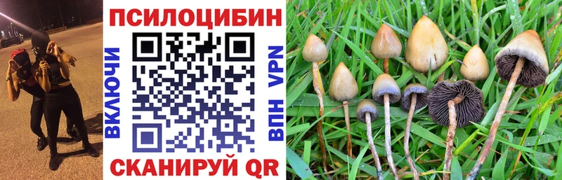 Галлюциногенные грибы Magic Shrooms Михайловка